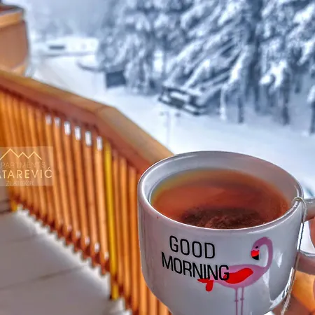 Tatarevic Golden Space * Zlatibor